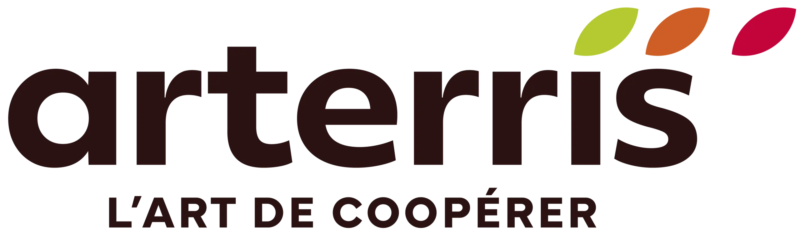 Logo de Arterris
