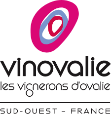 Logo de Vinovalie